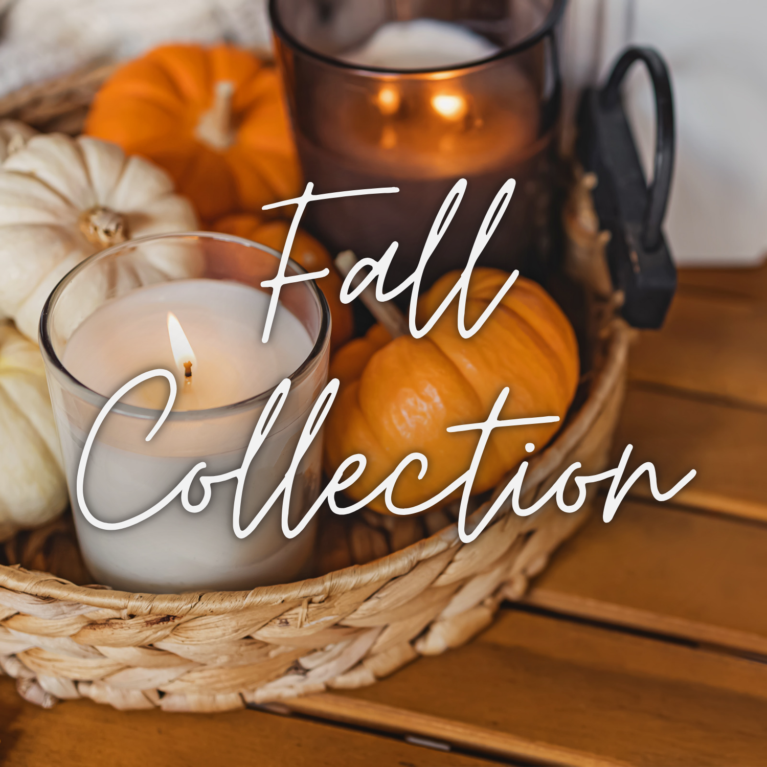 Fall Collection